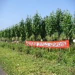 ���Խ���